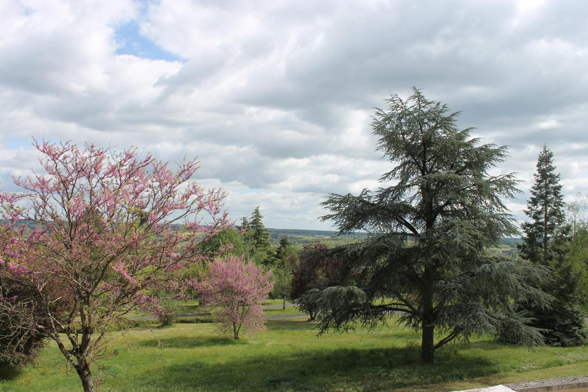Apartament Studio Le Cosy Montrichard Zewnętrze zdjęcie